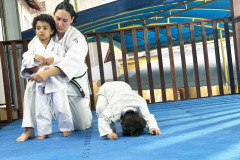 judo1-1